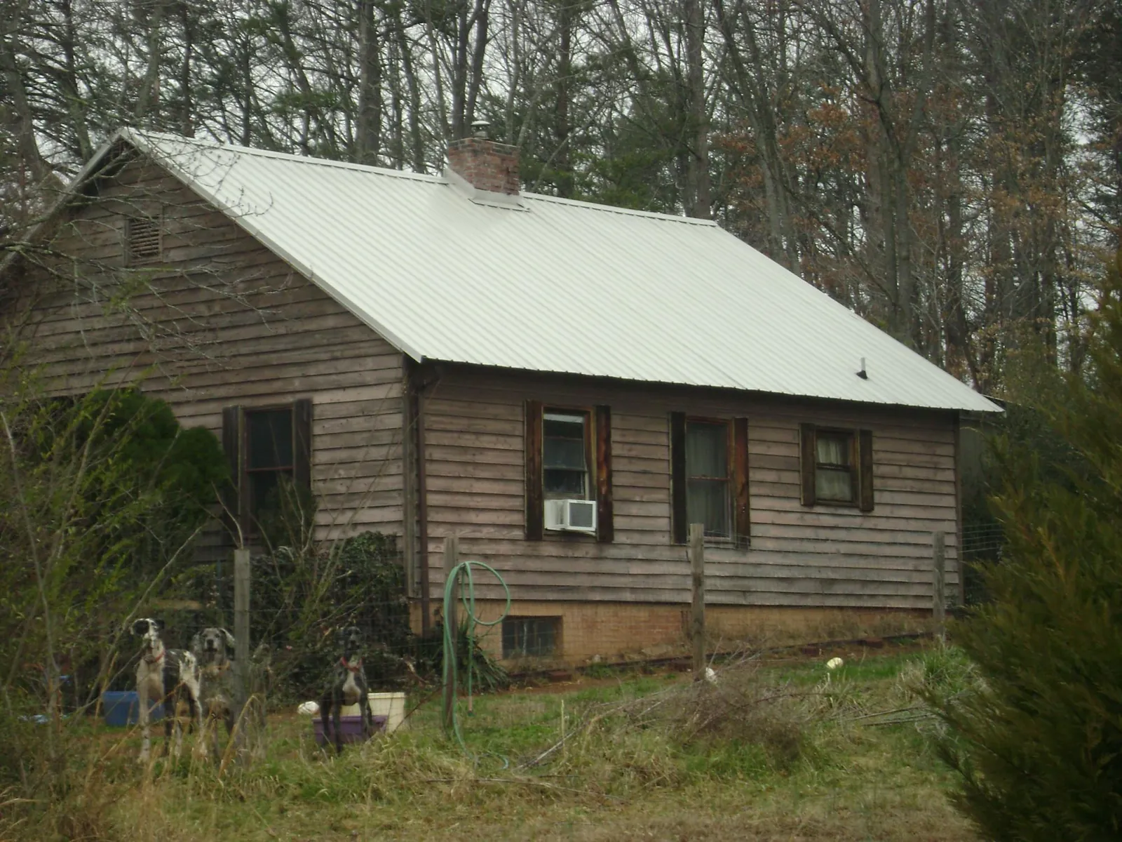 White metal roof on an old wood sided farmhouse, from a Asphalt Shingle Roof Repair job in Burnettsville